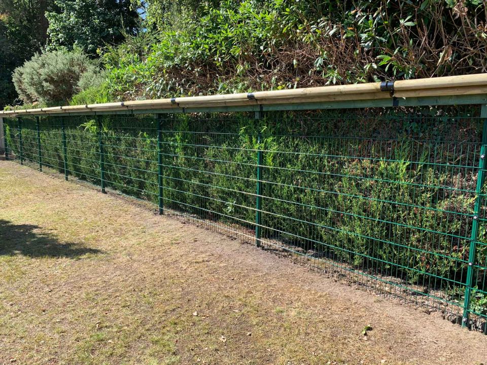 An example of green mesh fencing by Katzecure