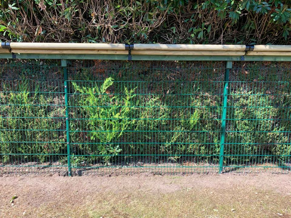 An example of green mesh fencing by Katzecure